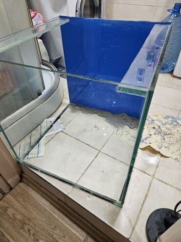 купить аквариум: Şüşə akvarium korpusu - Ölçülər təxmini: kvadrat formaya yaxın — 2