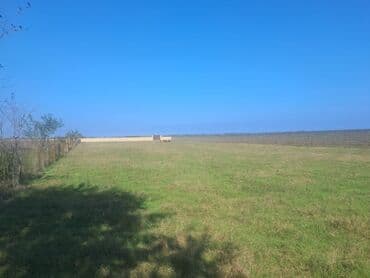 novxanıda həyət evləri: Kənd təsərrüfatı — 20