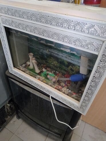 Dördbucaq akvarium, Balıqlarla birlikdə, 10 l lalafo.az -da Dördbucaq akvarium, Balıqlarla birlikdə, 10 l