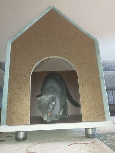 pişik ev: Pişik üçün ev. Akril Laminat 18 lik. Ölçüləri : Hündürlük 70 sm. Eni — 5