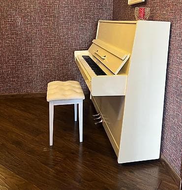 piano elektron: Piano, Belarus, Akustik — 3