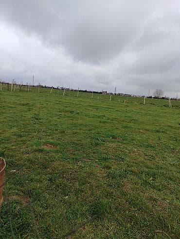 biləcəri torpaq: 8 sot, Tikinti, Mülkiyyətçi, Kupça (Çıxarış) — 3