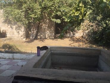 nerimanov ev: Həyət evi – geniş həyət sahəsi və içəridə işıqlı otaqlar - Geniş və — 2