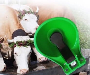 Su qabları
İri buynuzlu üçün
Yeni
müxtəlif material lalafo.az -da Su qabları
İri buynuzlu üçün
Yeni
müxtəlif material