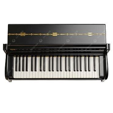 pa 800: Piano, Akkord, Akustik — 1