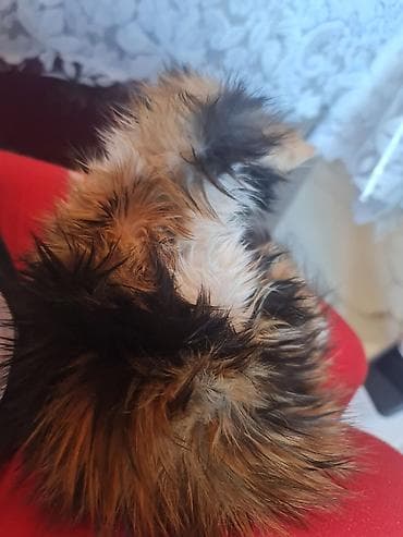 Yaxşı əllərə lalafo.az -da Yaxşı əllərə