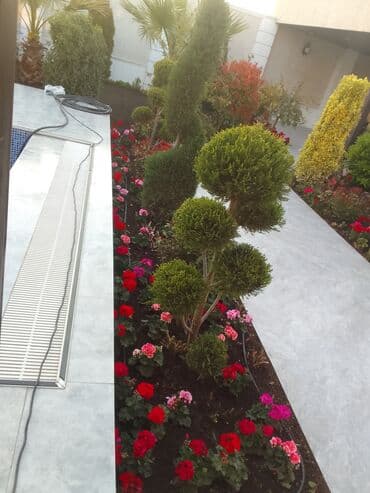 ищу работу садовник на дачу: Salam bağ evlərində, Abyektlərdə parklarda bağban xidməti görülür — 29