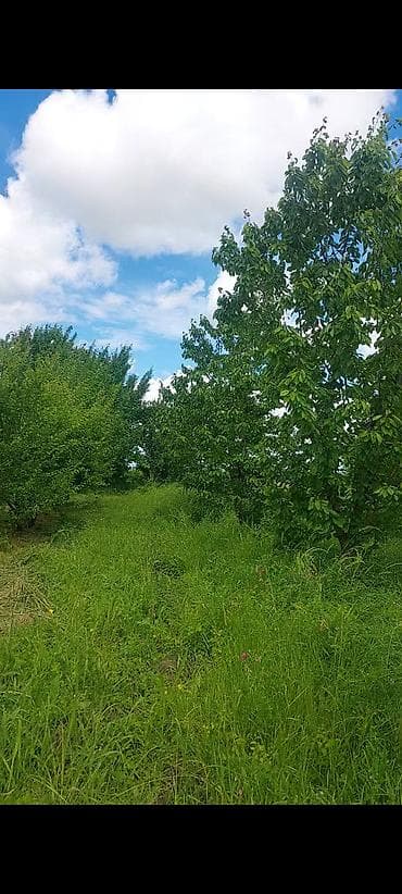 15 sot, Kənd təsərrüfatı, Barter mümkündür, Kupça (Çıxarış) — 1
