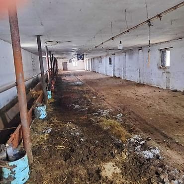 3 otaqlı mənzillərin satışı: Ferma və təsərrüfat kompleksi 📍Ünvan : Ağsu rayonu • Sahə : 85 sot • — 8