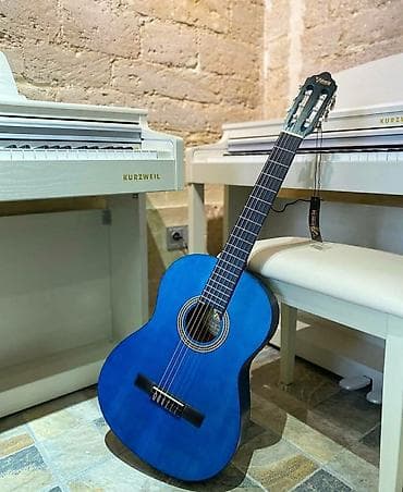 gitara çexolu: Model: Valencia VC 204 tbu Alətin müxtəlif ölçüləri hər yaş üçün — 1