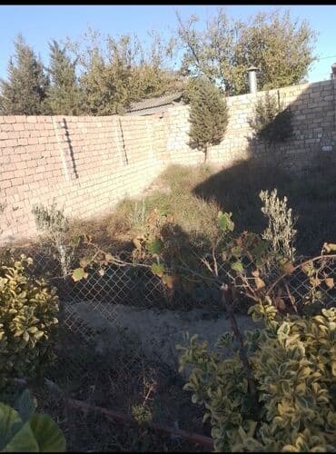 quba torpaq: 8 sot, Tikinti — 3