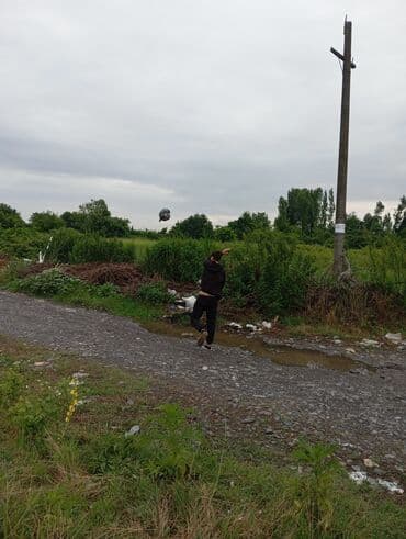 velosiped 2 ci əl: İşlənmiş Şəhər velosipedi 28", sürətlərin sayı: 32, Ünvandan götürmə — 7