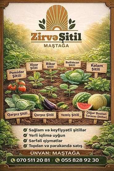 su qovucu: Məhsul: Zirvə Şitil – badımcan şitilləri Təsvir: - F1 hibrid badımcan — 4