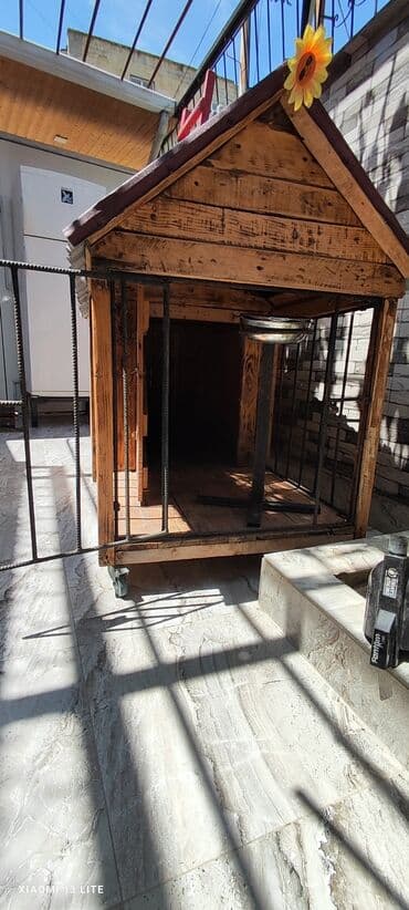 goyərcin yuvaları: Ölçüsü 2x1, it üçün yuva, boş boş adamlar narahat eləməsin zəhmət — 2