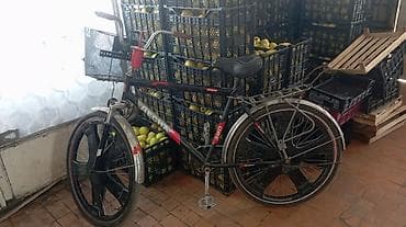 Şəhər velosipedi Desna, 26", sürətlərin sayı: 1