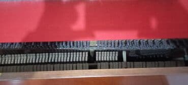 Tata: Pianolar — 4