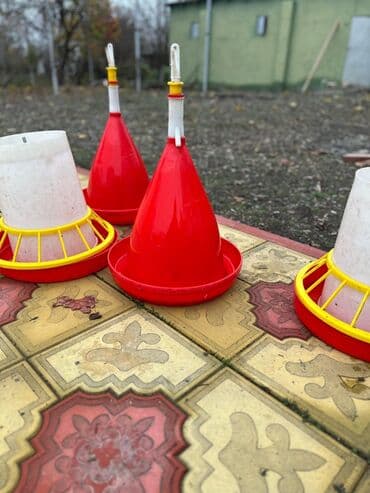 Xaltalar, qayışlar və tasmalar: Yem və su qabları hərəsindən 10 dənənədir. 1 dəfə istifadə olunub — 2