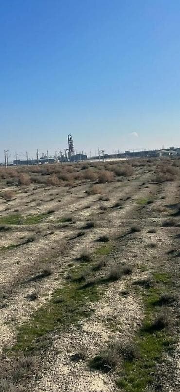 abseronda kiraye evler: 150 sot, Biznes üçün, Mülkiyyətçi, Kupça (Çıxarış) — 5