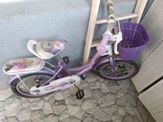 Информатика: 50 — 2