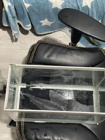 akvarium işıq: Dördbucaq akvarium, Boş, 20 l, Ünvandan götürmə — 1