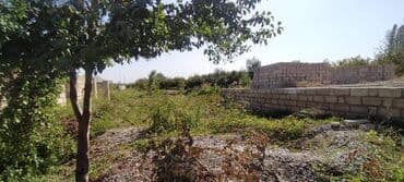 bakıxanov razin: 10 sot, Tikinti, Mülkiyyətçi, Kupça (Çıxarış) — 7
