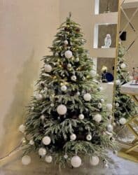 saxta baba ve qar qiz sekilleri: Yolka kremlovski Yolka Yolka satisi teze mallar 🔺120 sm -80 man 🔺150 — 4