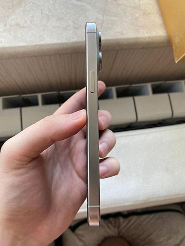 ayfon11pro max: IPhone 15 Pro Max, 256 GB — 6