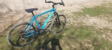 Start aluminyum çərçivəli dağ velosipedi - Rəng: mavi, iri “START”