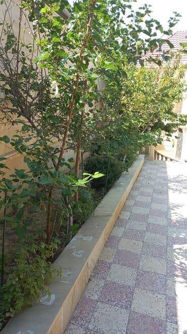 neftcilər kirayə evlər: Qaraçuxur qəs. 8 otaq, 220 kv. m, Kredit var, Orta təmir — 8