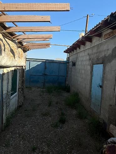 berde ev: Bağ sahəsi və yardımçı tikili - Üzüm tağları ilə örtülü, yaşıllıqla — 2