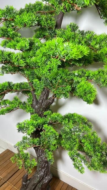 budda: Süni bonsai ağacı – dekorativ içməkan yaşıllaşdırma üçün - Realistik — 2