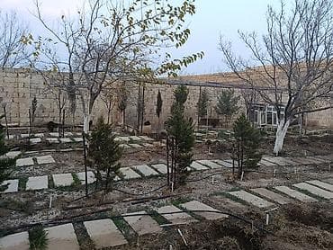 Binəqədi qəs. 8 otaq, 300 kv. m, Yeni təmirli — 10