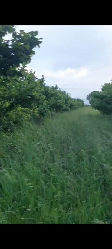 ramana gülçülük sovxozu: Kənd təsərrüfatı — 1