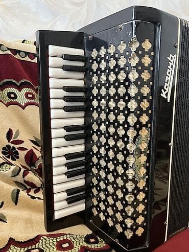 akkardion: Akustik Akkordeon — 7
