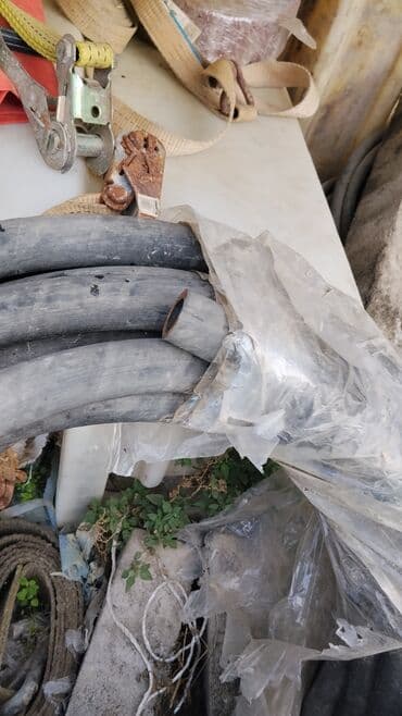 Bitkilər: Şlanq, daxili diametr 50 mm mm, Başlıqsız — 1