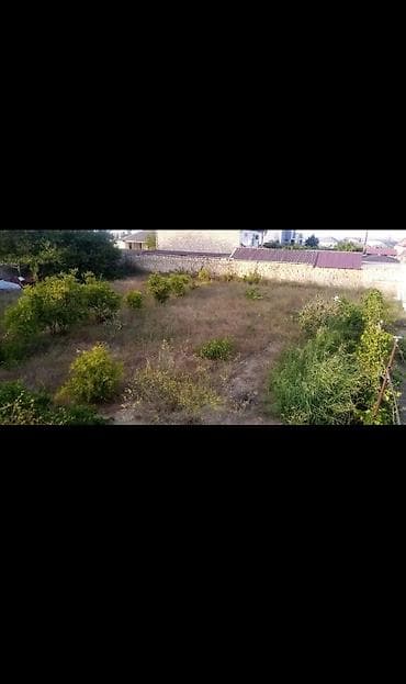 culyan kendinde torpaq satilir: 6 sot, Tikinti, Maklerlər narahat etməsin, Kupça (Çıxarış) — 3