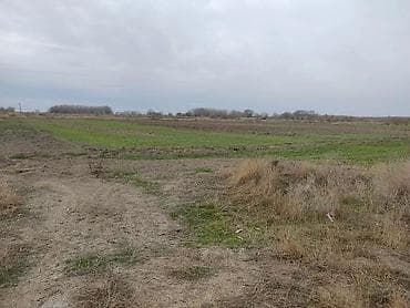 300 sot, Kənd təsərrüfatı, Maklerlər narahat etməsin, Müqavilə