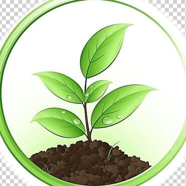 Inzibati heyət: SMM menecer, Təcrübəsiz, Onlayn iş — 1