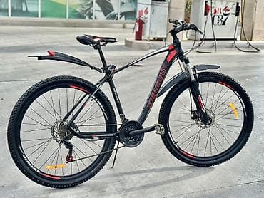 suru: Velosiped MERCURY 29 Luq skorsnoy.100 % ALMİNUM RAMA.ELA — 5