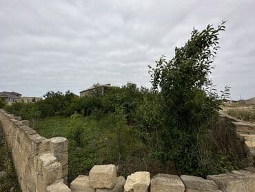 xacmaz rayonu seyidli kəndində torpaq sahəsi satılır: 4 sot, Mülkiyyətçi, Kupça (Çıxarış), Bələdiyyə — 2