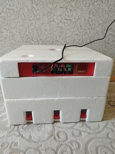 Yumurta inkubatoru – rəqəmsal idarəetməli, avtomatik funksiyalı lalafo.az -da Yumurta inkubatoru – rəqəmsal idarəetməli, avtomatik funksiyalı