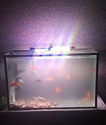 Dördbucaq akvarium, Boş, 120 l, Ünvandan götürmə — 2