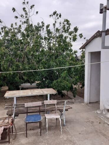 qebelede ucuz evler: Saray, 90 kv. m, 3 otaqlı, Qaz, İşıq, Su — 15