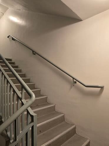 ev dam örtükləri: Hər növ məhəccər qoruqluq perilla — 2