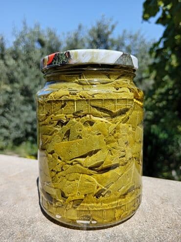 ilan yağı apteklerde: Ev üsulu, yumşaq, qatqısız, bağımızdan tam təmiz şəraitdə hazırlanmış — 3