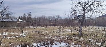 badamdar evlər: 20 sot, Tikinti, Mülkiyyətçi, Kupça (Çıxarış) — 2