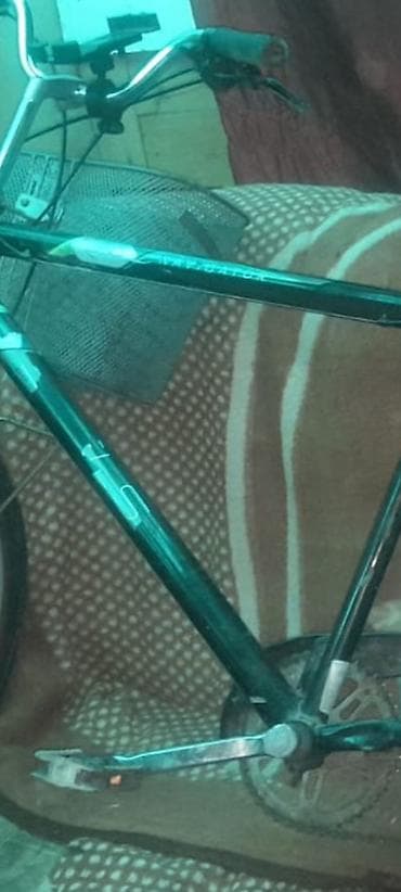 velo disk: Şəhər gəzintiləri və gündəlik istifadə üçün klassik tip velosiped - — 2