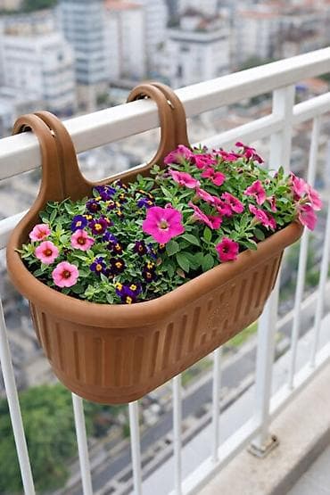 Bitki dərmanları: Balkon asma dibçək - - TəÖlçülər və qiymətlər (şəkildə göstə - — 2