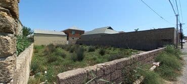 ramana gülçülük sovxozu: 5 sot, Kənd təsərrüfatı, Mülkiyyətçi, Kupça (Çıxarış) — 4