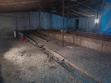 İnkubatorlar: Quşçuluq təsərrüfatı üçün hazır obyekt Hazir biznes kimi — 2